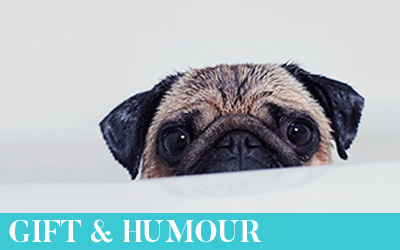 Gift & Humour